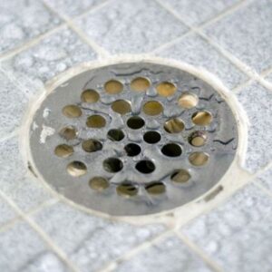 round shower drain types