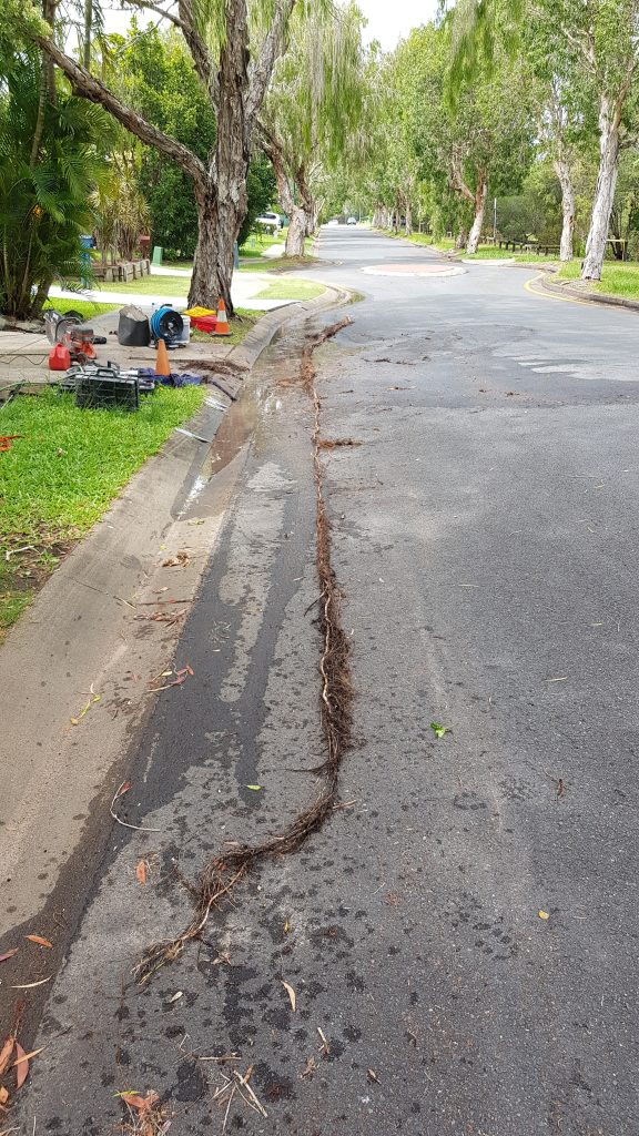 Root mass pulled out with a work ute — Drain Masters Plumbing