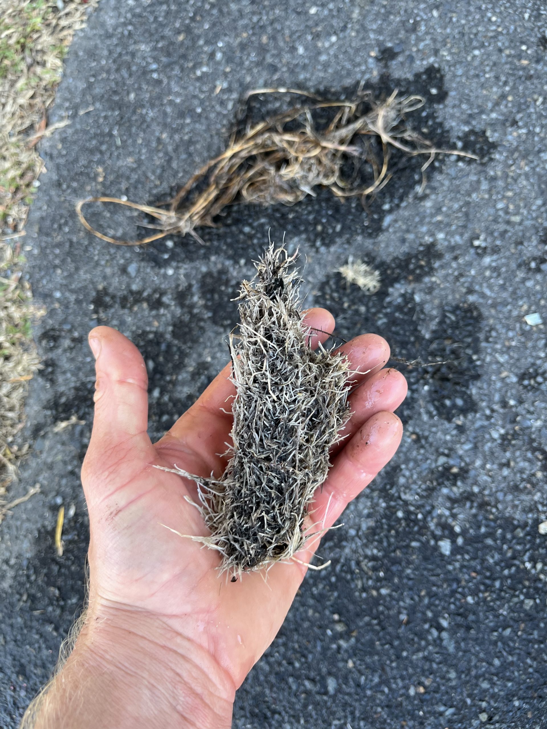 Kingscliff stormwater call-out, star picket damage visible in the excavated section where the pipe cracked.