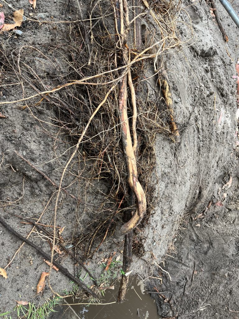 Holiday park stormwater — Drain Masters Plumbing